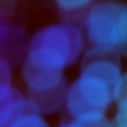 Bokeh-303